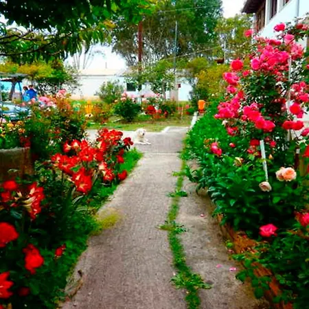 Eftichia روذا
