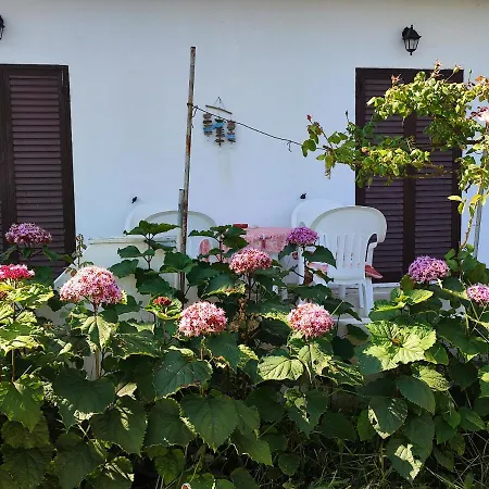 Appartement Eftichia